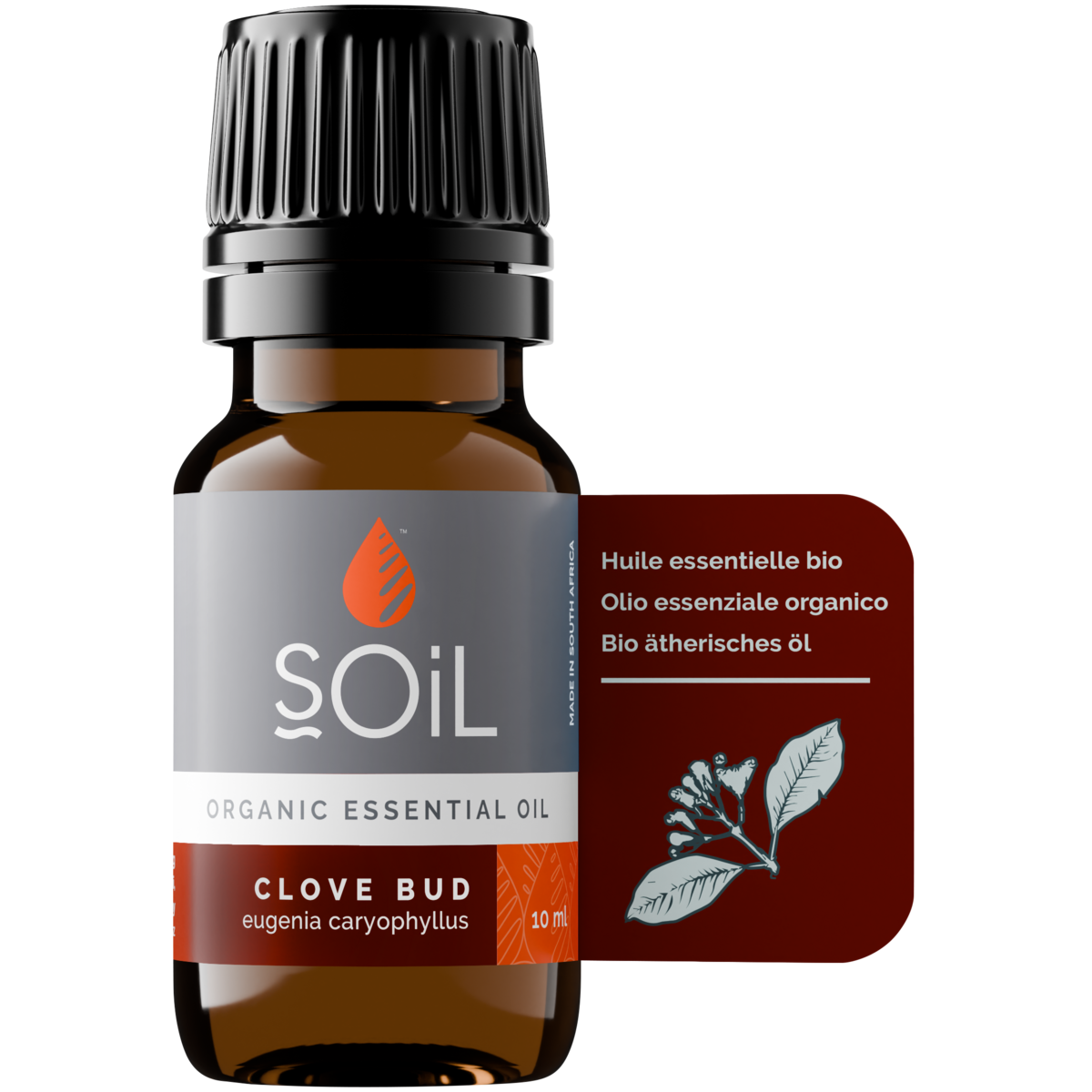 Organic Clove Bud Essential Oil – 10 ml | Certified Organic | 100% Pure | Steam-Distilled | Vegan