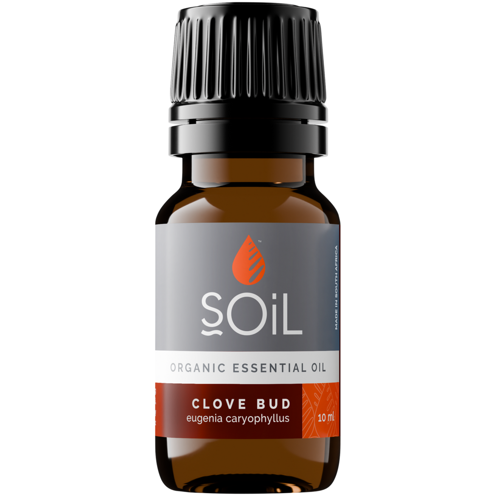 Organic Clove Bud Essential Oil – 10 ml | Certified Organic | 100% Pure | Steam-Distilled | Vegan