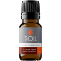 Organic Clove Bud Essential Oil – 10 ml | Certified Organic | 100% Pure | Steam-Distilled | Vegan